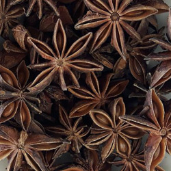 ANÍS ESTRELLADO BOTE 1/40g